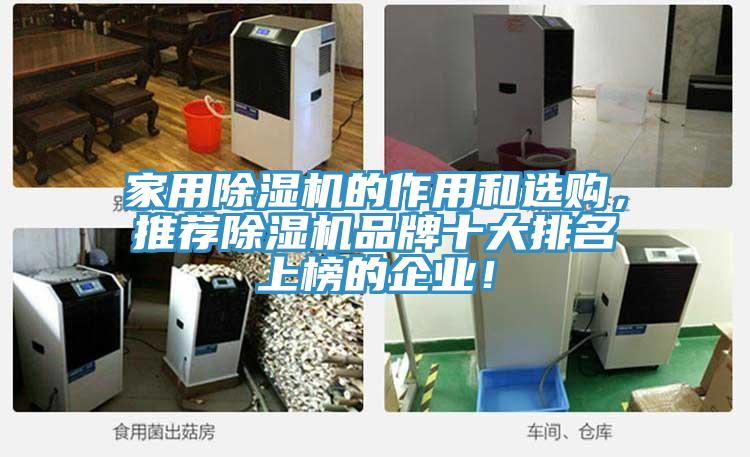 家用除濕機(jī)的作用和選購，推薦除濕機(jī)品牌十大排名上榜的企業(yè)！