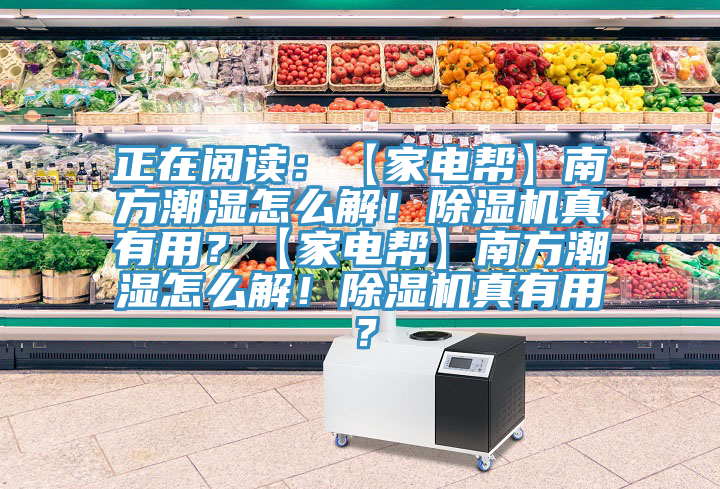 正在閱讀：【家電幫】南方潮濕怎么解！除濕機真有用？【家電幫】南方潮濕怎么解！除濕機真有用？