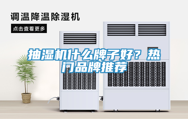 抽濕機(jī)什么牌子好？熱門(mén)品牌推薦
