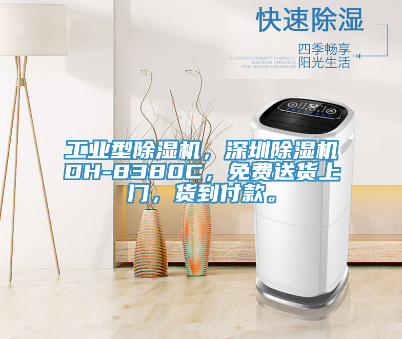 工業(yè)型除濕機(jī)，深圳除濕機(jī)DH-8380C，免費送貨上門，貨到付款。