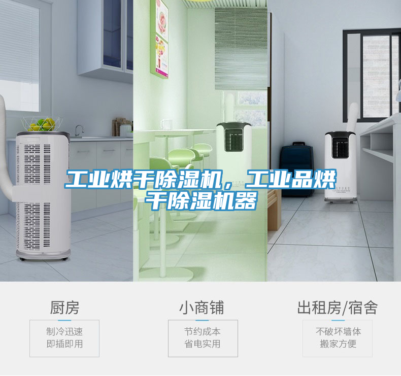 工業(yè)烘干除濕機，工業(yè)品烘干除濕機器