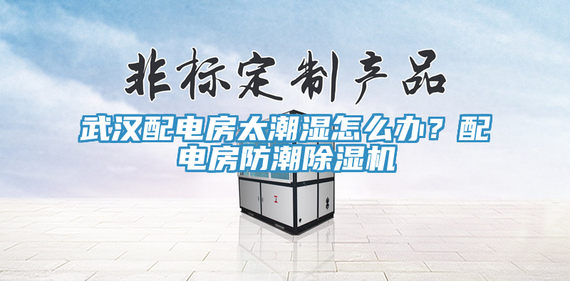 武漢配電房太潮濕怎么辦？配電房防潮除濕機(jī)