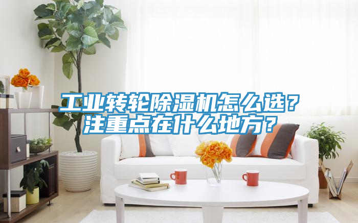 工業(yè)轉(zhuǎn)輪除濕機(jī)怎么選？注重點(diǎn)在什么地方？