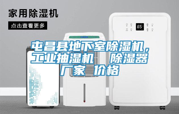 屯昌縣地下室除濕機，工業(yè)抽濕機  除濕器廠家 價格