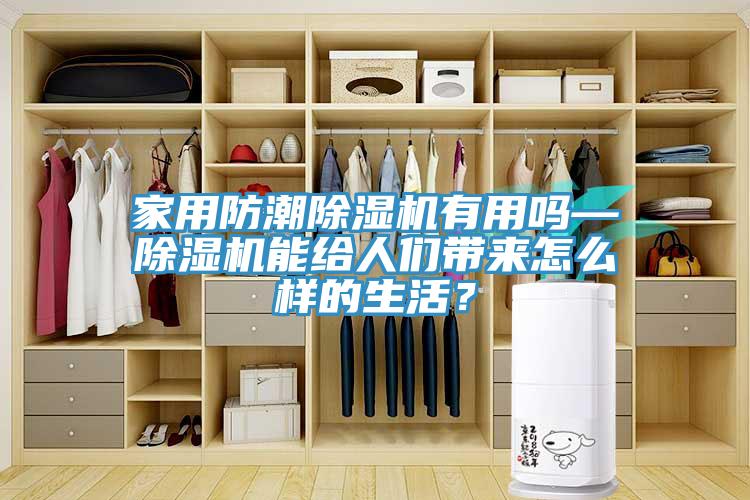 家用防潮除濕機有用嗎—除濕機能給人們帶來怎么樣的生活？