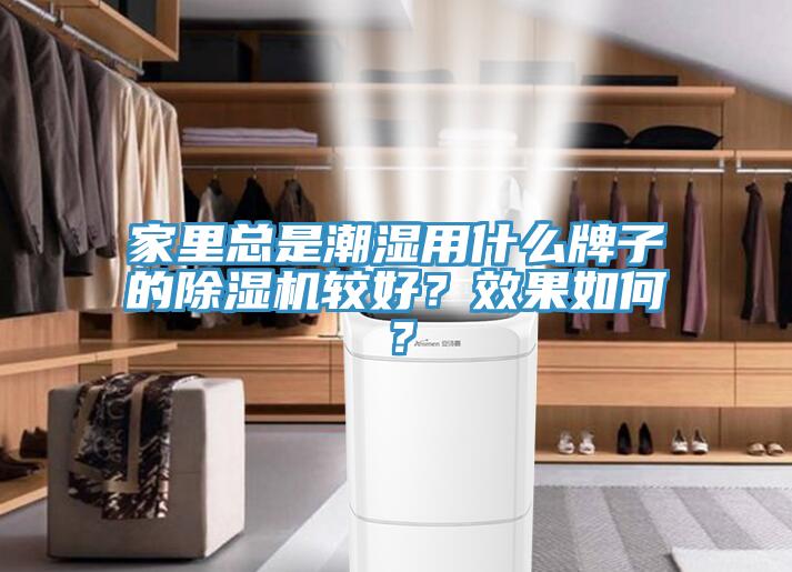 家里總是潮濕用什么牌子的除濕機(jī)較好？效果如何？