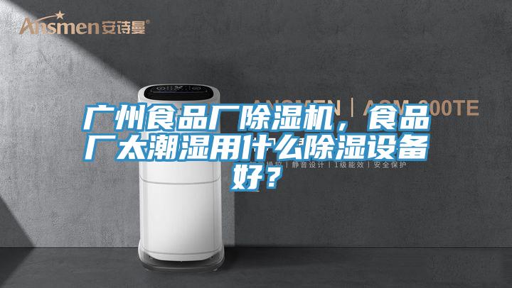 廣州食品廠除濕機，食品廠太潮濕用什么除濕設備好？
