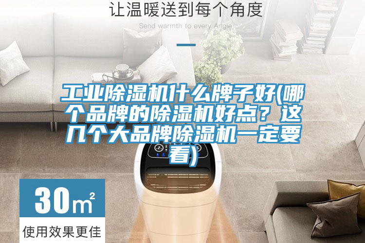 工業(yè)除濕機(jī)什么牌子好(哪個(gè)品牌的除濕機(jī)好點(diǎn)？這幾個(gè)大品牌除濕機(jī)一定要看)