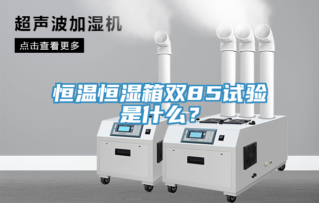 恒溫恒濕箱雙85試驗(yàn)是什么？