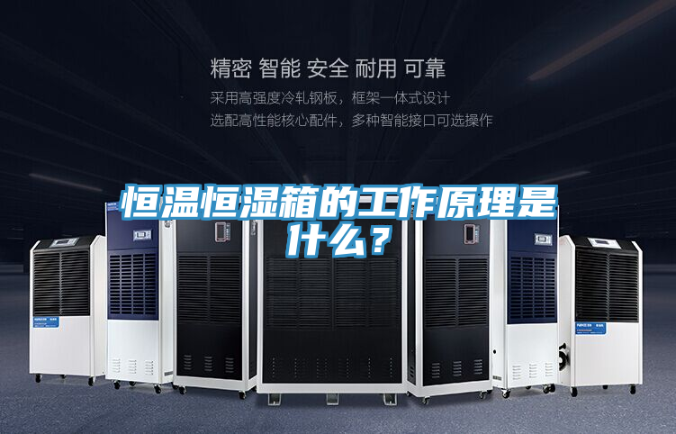 恒溫恒濕箱的工作原理是什么？
