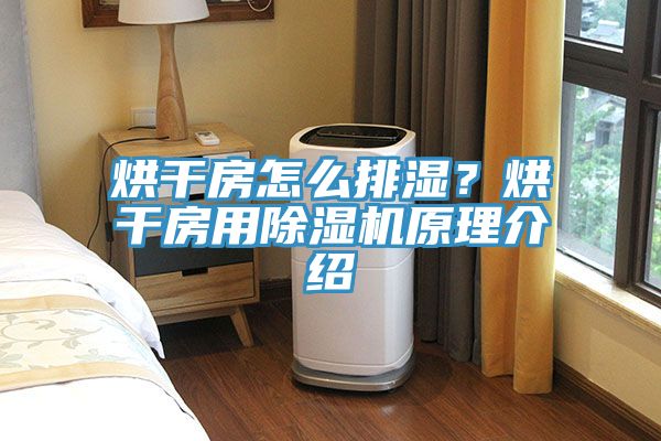 烘干房怎么排濕？烘干房用除濕機(jī)原理介紹