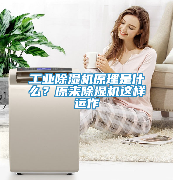 工業(yè)除濕機(jī)原理是什么？原來(lái)除濕機(jī)這樣運(yùn)作