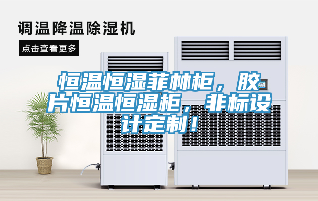 恒溫恒濕菲林柜，膠片恒溫恒濕柜，非標(biāo)設(shè)計定制！
