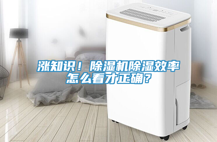 漲知識！除濕機除濕效率怎么看才正確？