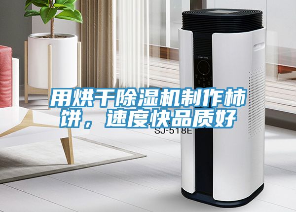 用烘干除濕機(jī)制作柿餅，速度快品質(zhì)好