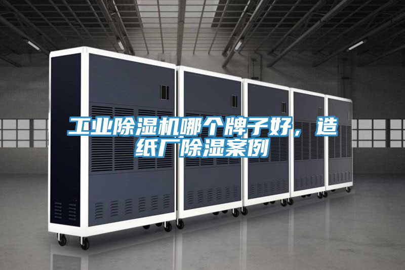 工業(yè)除濕機(jī)哪個牌子好，造紙廠除濕案例