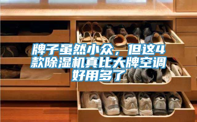 牌子雖然小眾，但這4款除濕機真比大牌空調(diào)好用多了