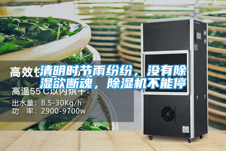 清明時節(jié)雨紛紛，沒有除濕欲斷魂，除濕機不能停