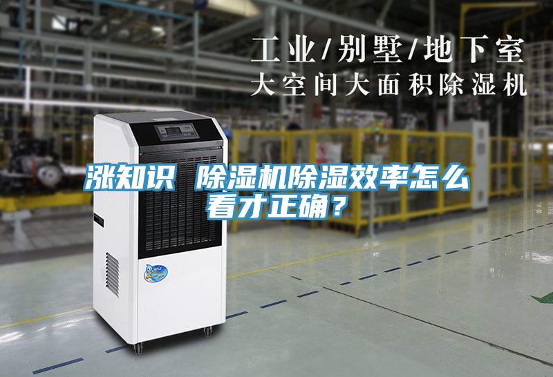 漲知識 除濕機除濕效率怎么看才正確？