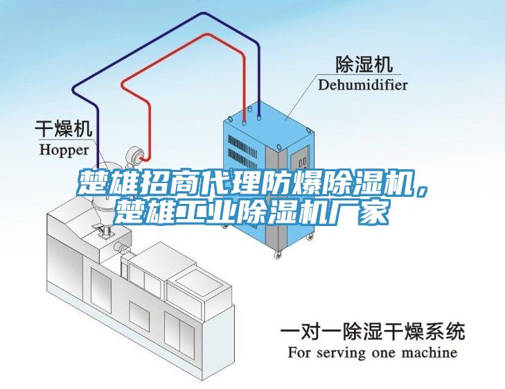 楚雄招商代理防爆除濕機，楚雄工業(yè)除濕機廠家