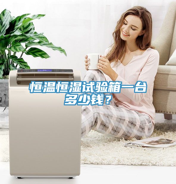 恒溫恒濕試驗箱一臺多少錢？