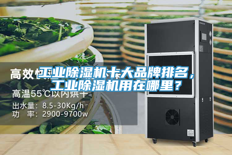 工業(yè)除濕機(jī)十大品牌排名，工業(yè)除濕機(jī)用在哪里？
