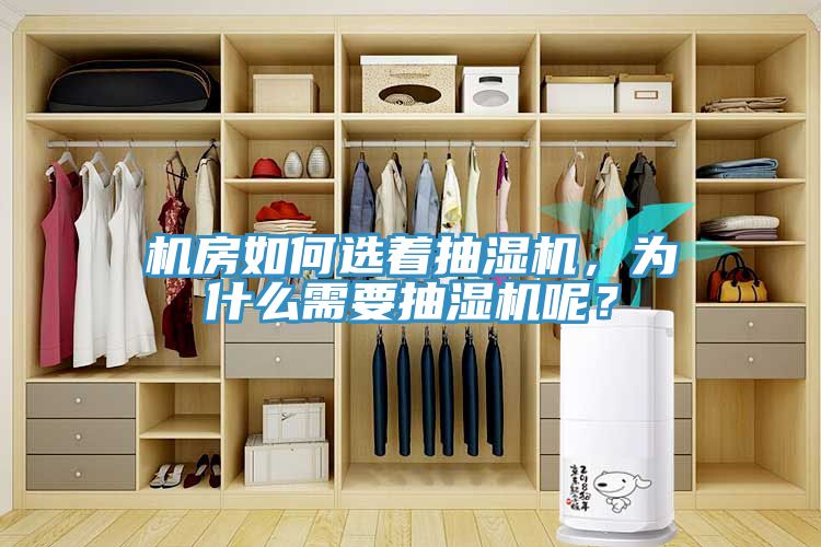 機(jī)房如何選著抽濕機(jī)，為什么需要抽濕機(jī)呢？