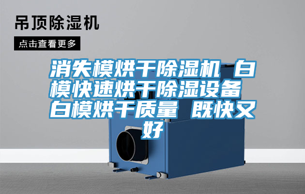 消失模烘干除濕機 白?？焖俸娓沙凉裨O(shè)備 白模烘干質(zhì)量 既快又好