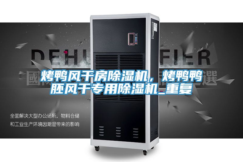 烤鴨風(fēng)干房除濕機，烤鴨鴨胚風(fēng)干專用除濕機_重復(fù)