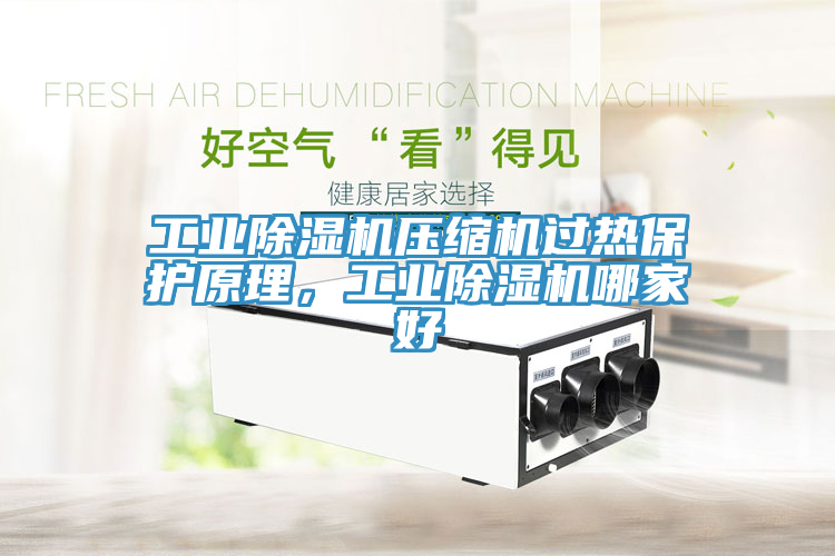 工業(yè)除濕機(jī)壓縮機(jī)過(guò)熱保護(hù)原理，工業(yè)除濕機(jī)哪家好