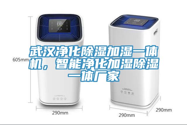 武漢凈化除濕加濕一體機，智能凈化加濕除濕一體廠家
