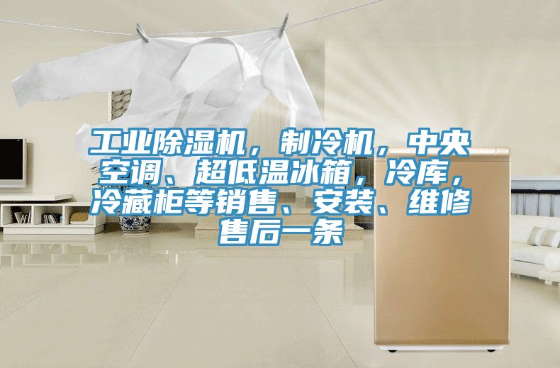 工業(yè)除濕機(jī)，制冷機(jī)，中央空調(diào)、超低溫冰箱，冷庫，冷藏柜等銷售、安裝、維修售后一條