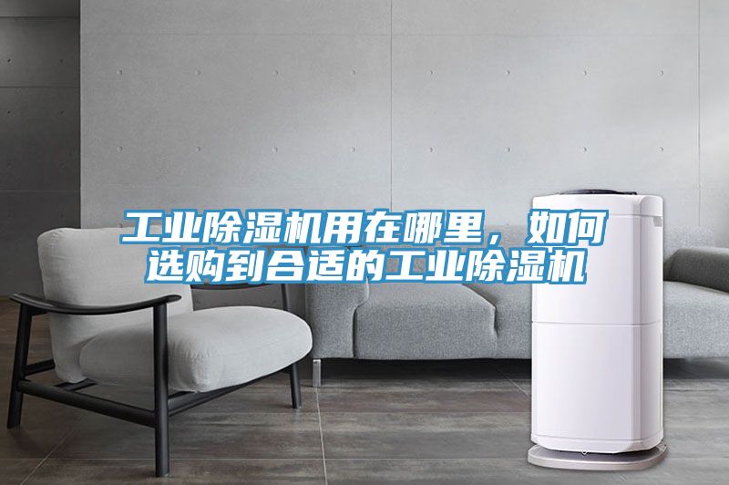 工業(yè)除濕機(jī)用在哪里，如何選購到合適的工業(yè)除濕機(jī)