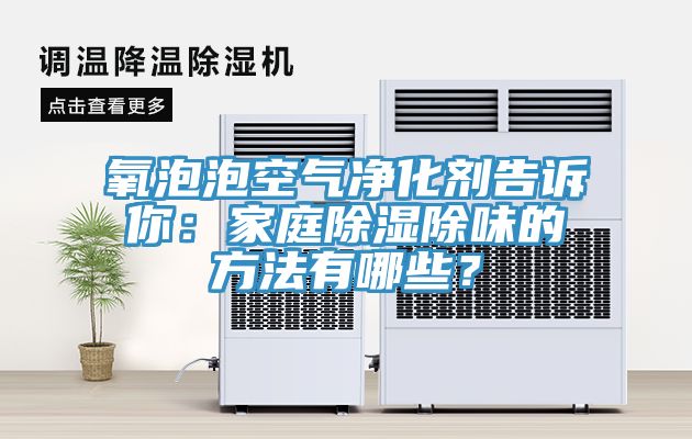 氧泡泡空氣凈化劑告訴你：家庭除濕除味的方法有哪些？