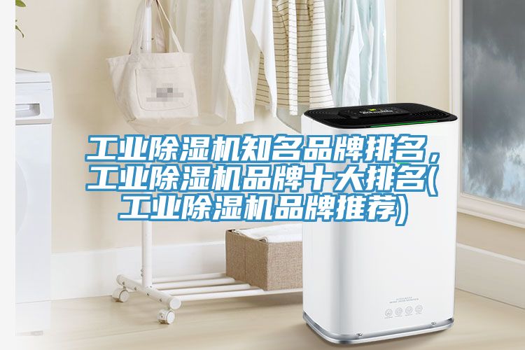 工業(yè)除濕機(jī)知名品牌排名，工業(yè)除濕機(jī)品牌十大排名(工業(yè)除濕機(jī)品牌推薦)