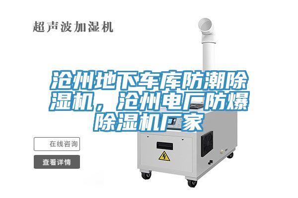 滄州地下車庫防潮除濕機(jī)，滄州電廠防爆除濕機(jī)廠家