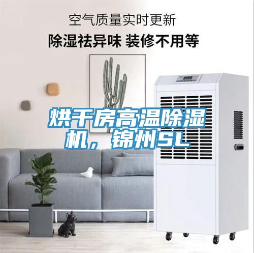 烘干房高溫除濕機(jī)，錦州SL