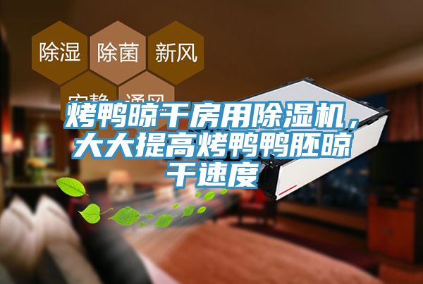 烤鴨晾干房用除濕機，大大提高烤鴨鴨胚晾干速度