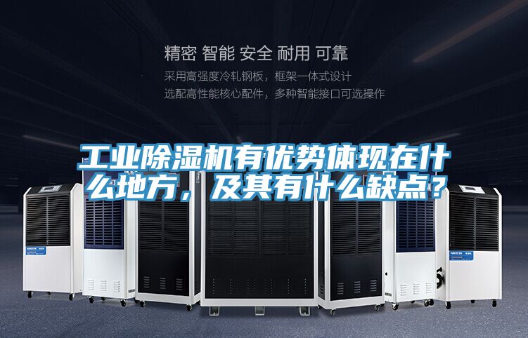 工業(yè)除濕機(jī)有優(yōu)勢(shì)體現(xiàn)在什么地方，及其有什么缺點(diǎn)？
