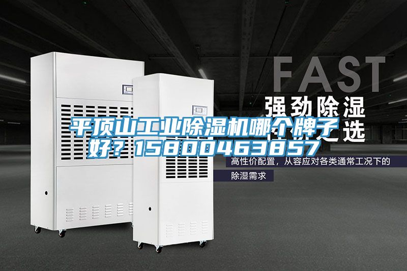 平頂山工業(yè)除濕機(jī)哪個(gè)牌子好？15800463857