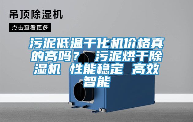 污泥低溫干化機價格真的高嗎？ 污泥烘干除濕機 性能穩(wěn)定 高效智能