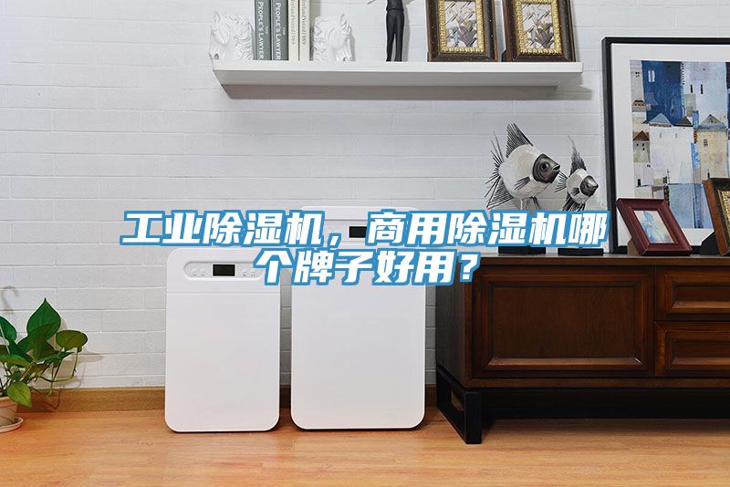 工業(yè)除濕機(jī)，商用除濕機(jī)哪個(gè)牌子好用？