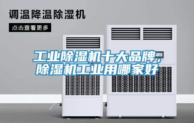 工業(yè)除濕機(jī)十大品牌，除濕機(jī)工業(yè)用哪家好