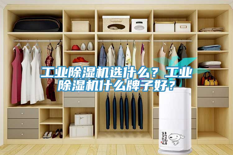 工業(yè)除濕機選什么？工業(yè)除濕機什么牌子好？