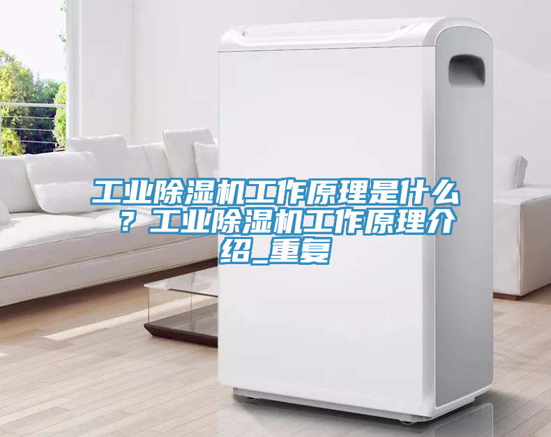 工業(yè)除濕機(jī)工作原理是什么 ？工業(yè)除濕機(jī)工作原理介紹_重復(fù)