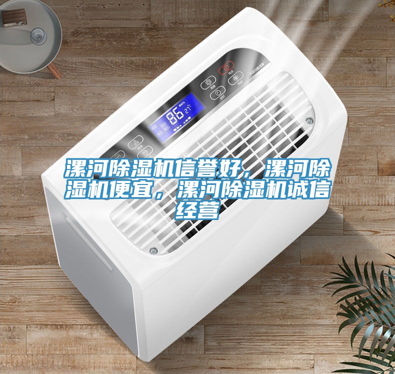 漯河除濕機(jī)信譽(yù)好，漯河除濕機(jī)便宜，漯河除濕機(jī)誠信經(jīng)營