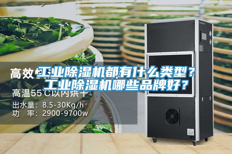 工業(yè)除濕機(jī)都有什么類型？工業(yè)除濕機(jī)哪些品牌好？