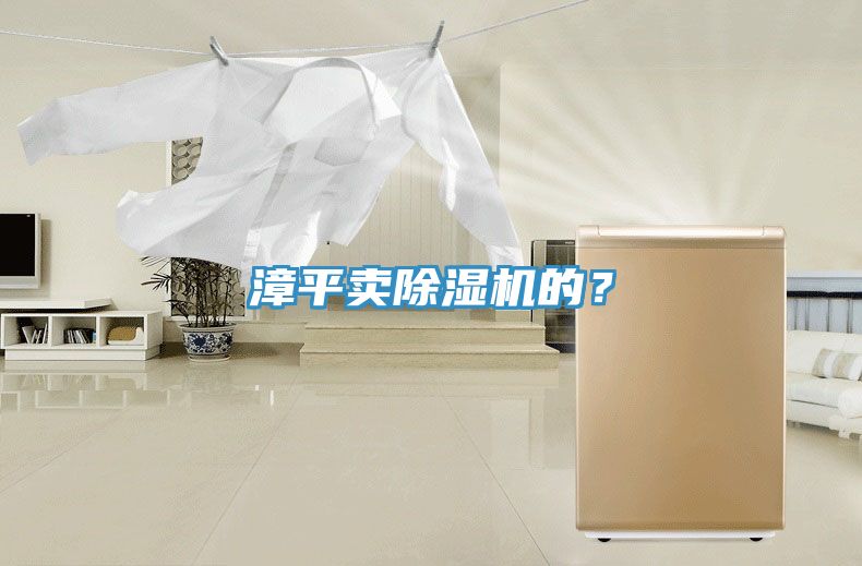 漳平賣除濕機(jī)的？