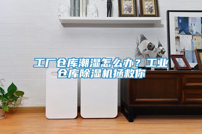 工廠倉庫潮濕怎么辦？工業(yè)倉庫除濕機(jī)拯救你