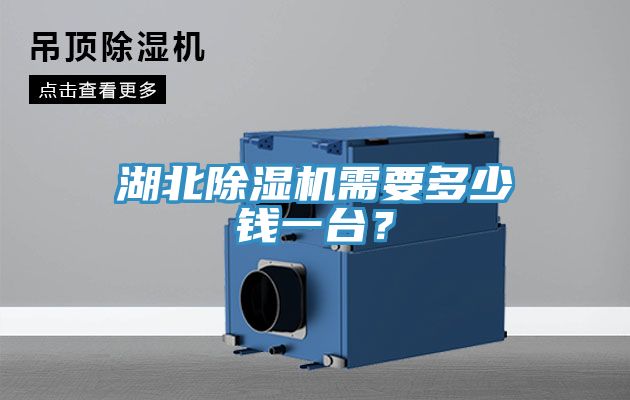 湖北除濕機(jī)需要多少錢一臺(tái)？
